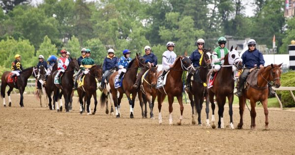 TAA, StarLadies Racing to Present Best Turned Out Horse Awards ...