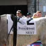 TAA and Supporters Have Banner Weekend at Breeders’ Cup World Championships