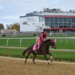 Canter for a Cause Raises Over $20,000 for TAA