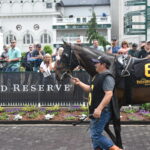 Thoroughbred Aftercare Alliance Present at Churchill Downs During Kentucky Derby Week