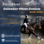 Thoroughbred Aftercare Alliance Third Annual Calendar Photo Contest Now Open