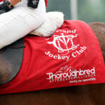 Thoroughbred Aftercare Alliance Present at  Maryland Million Day