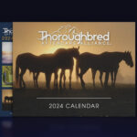 Thoroughbred Aftercare Alliance Announces Third Annual Calendar Photo Contest Winners