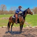 Holly’s Dream Dressage Horse