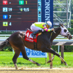 Thoroughbred Aftercare Alliance to Highlight Initiatives in Saratoga