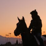 Thoroughbred Aftercare Alliance On-Site at Santa Anita Park for California Crown