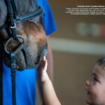 Thoroughbred Aftercare Alliance Announces Fourth Annual Calendar Photo Contest Winners