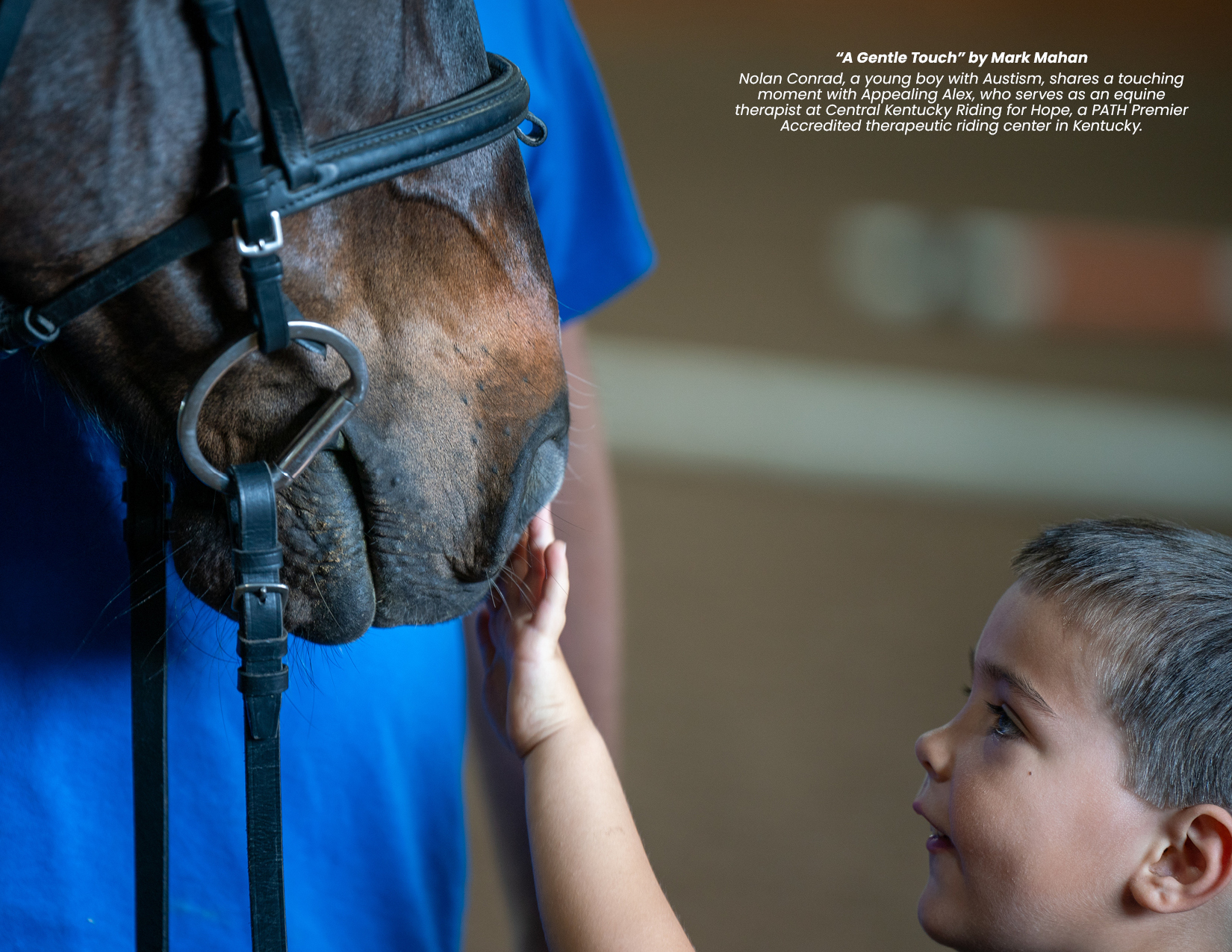 Thoroughbred Aftercare Alliance Announces Fourth Annual Calendar Photo Contest Winners