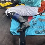 Thoroughbred Aftercare Alliance to be Present at Laurel Park for Maryland Million Day