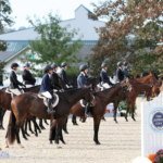 Thoroughbred Aftercare Alliance On-Site at The Retired Racehorse Project’s Thoroughbred Makeover