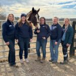 Thoroughbred Aftercare Alliance Grants $4.14 Million to 83 Accredited Organizations