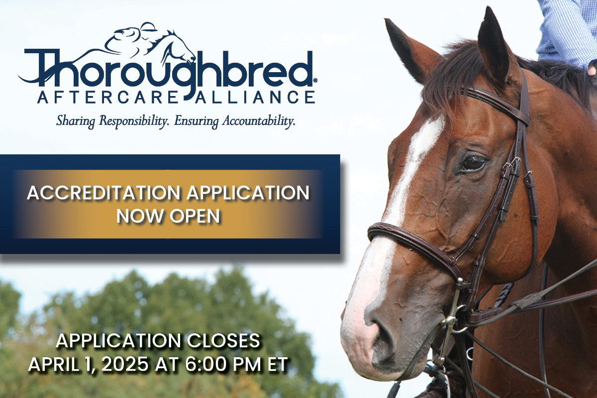 Thoroughbred Aftercare Alliance Announces Accreditation Application Now Open for 2025