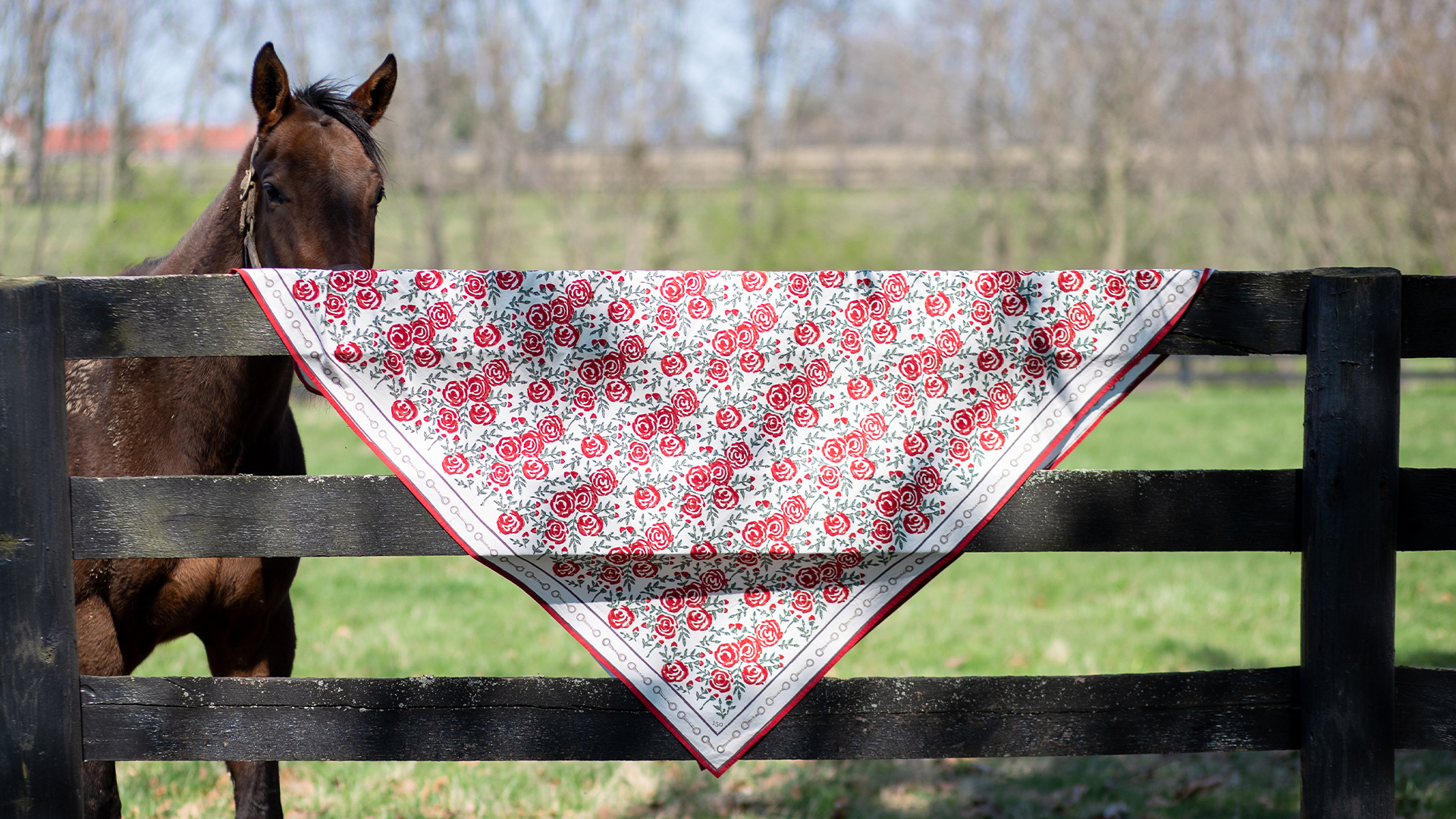 Thoroughbred Aftercare Alliance to Partner with Pomegranate Inc. to Celebrate 151st Kentucky Derby
